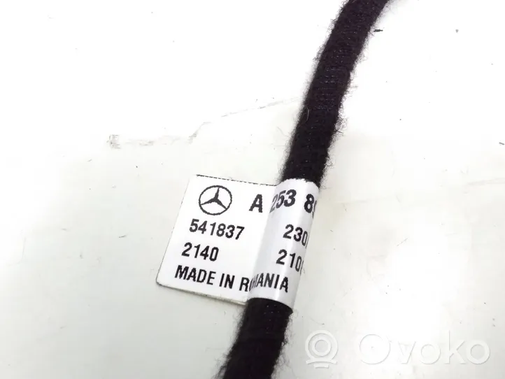 Mercedes-Benz GLC C253 Ammortizzatore portellone posteriore/bagagliaio A2538900600