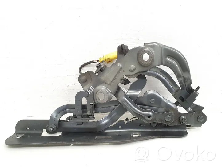 Audi TT TTS RS Mk3 8S Cerniere del vano motore/cofano 8S0823301D