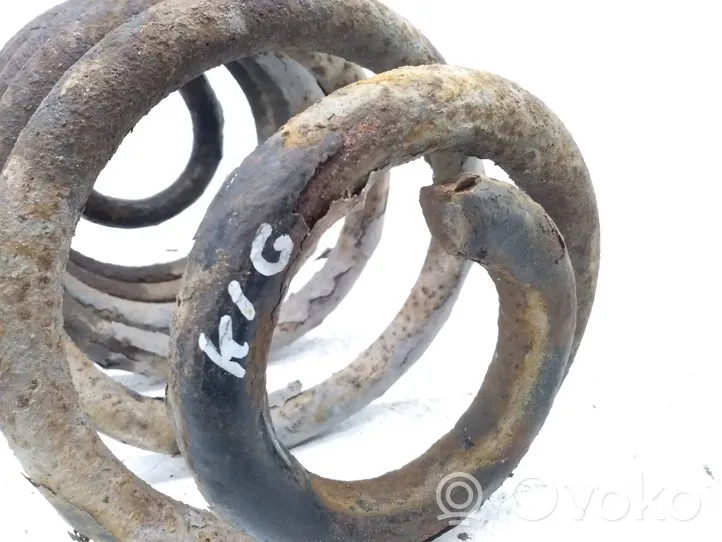 Opel Vivaro Rear coil spring 