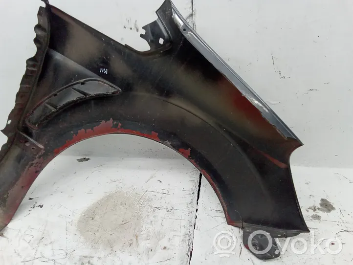 Ford S-MAX Fender 