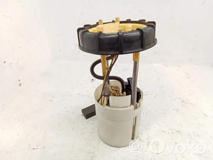 Volkswagen Touran II In-tank fuel pump 1T0919050F