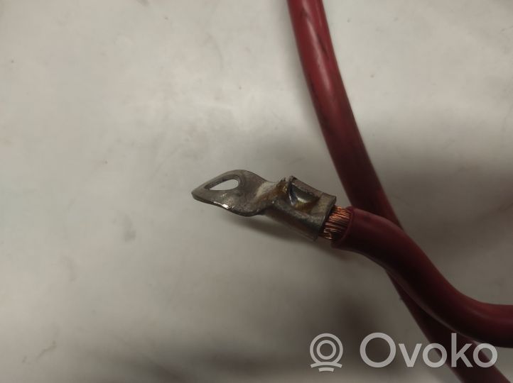 BMW 3 E46 Cable positivo (batería) 10304410