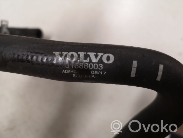Volvo S90, V90 Przewód / Wąż chłodnicy 31686003