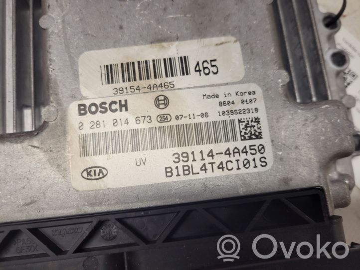 KIA Sorento Sterownik / Moduł ECU 0281014673