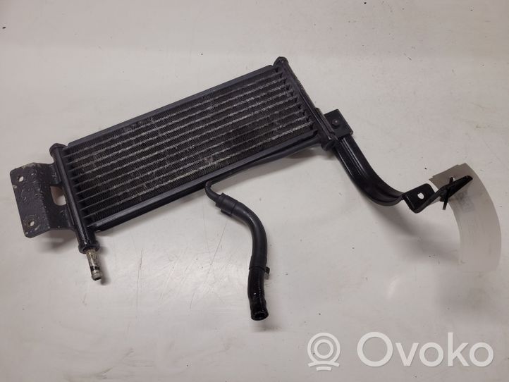 KIA Sorento Radiatore dell’olio del motore 254603E810