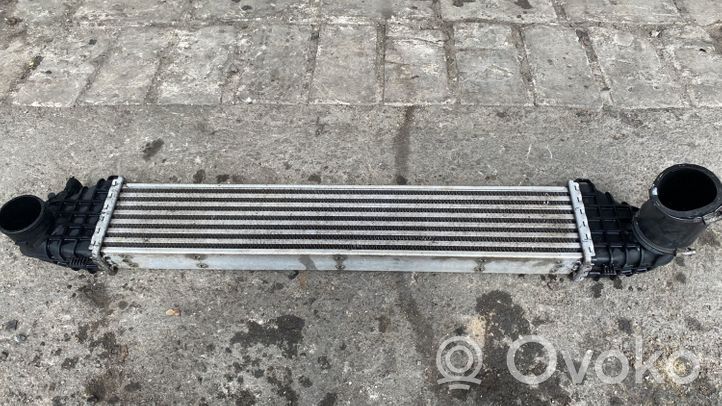 Volvo S40 Chłodnica powietrza doładowującego / Intercooler 31317905