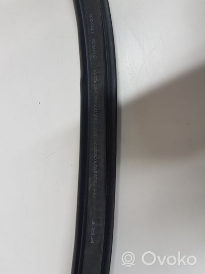 Opel Astra J Front door rubber seal 13259929