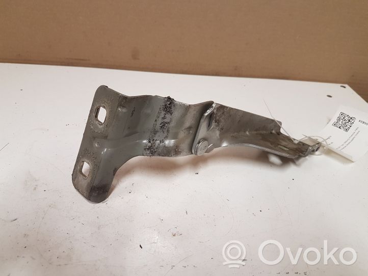 Renault Megane II Engine bonnet/hood hinges 68184