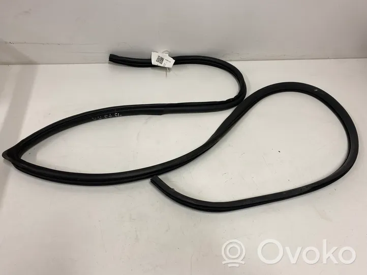 Opel Antara Front door rubber seal 