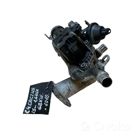 Citroen C4 Cactus EGR valve 9802194080