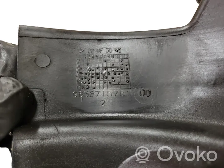 Citroen C5 Staffa/supporto di montaggio del filtro carburante 9655715780