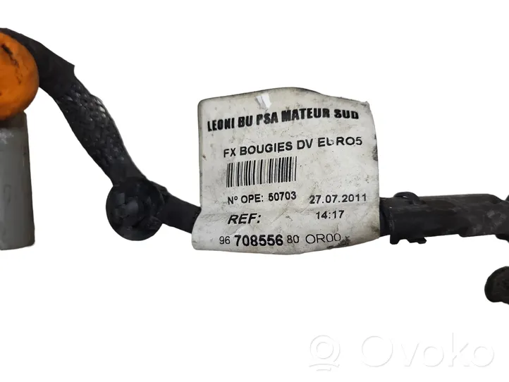 Citroen C4 II Fils de bougie préchauffage 9670855680