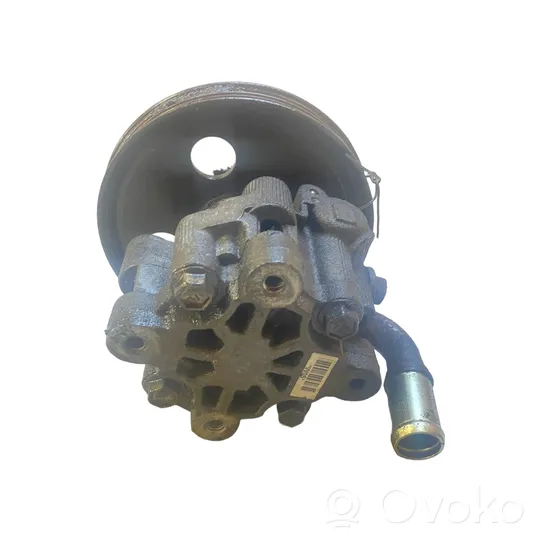 Chrysler Voyager Power steering pump 