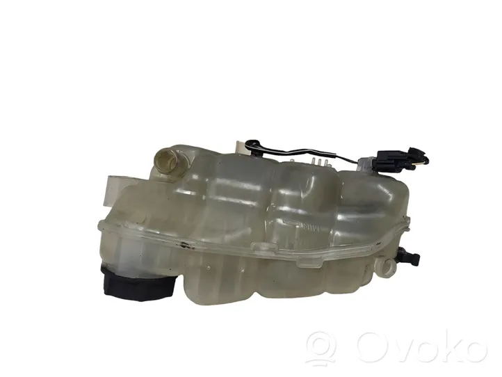 Volvo V40 Serbatoio di compensazione del liquido refrigerante/vaschetta 31338764