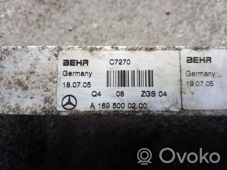 Mercedes-Benz B W245 Interkūlerio radiatorius A1695000200