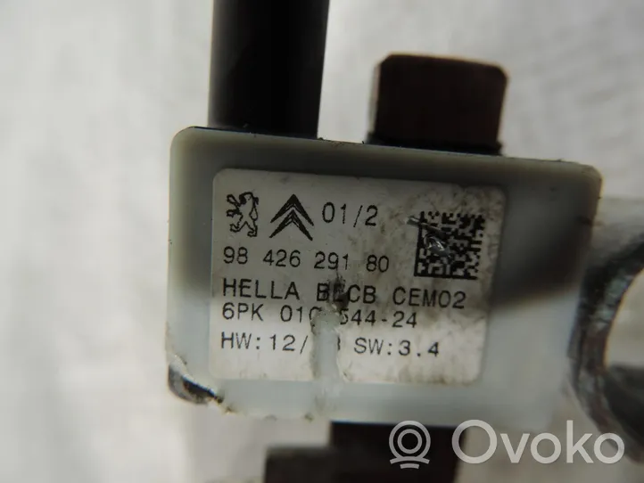 Opel Crossland X Câble négatif masse batterie 9842629180