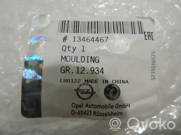 Opel Insignia A Rivestimento della portiera anteriore (modanatura) 13464467
