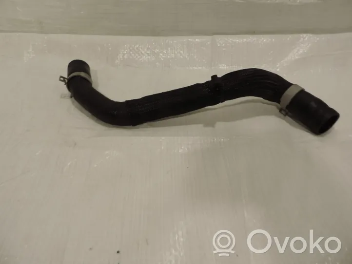 Ford Kuga III Engine coolant pipe/hose LX61-8B274-DAE