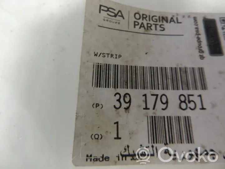 Opel Corsa E Front door rubber seal 13189017