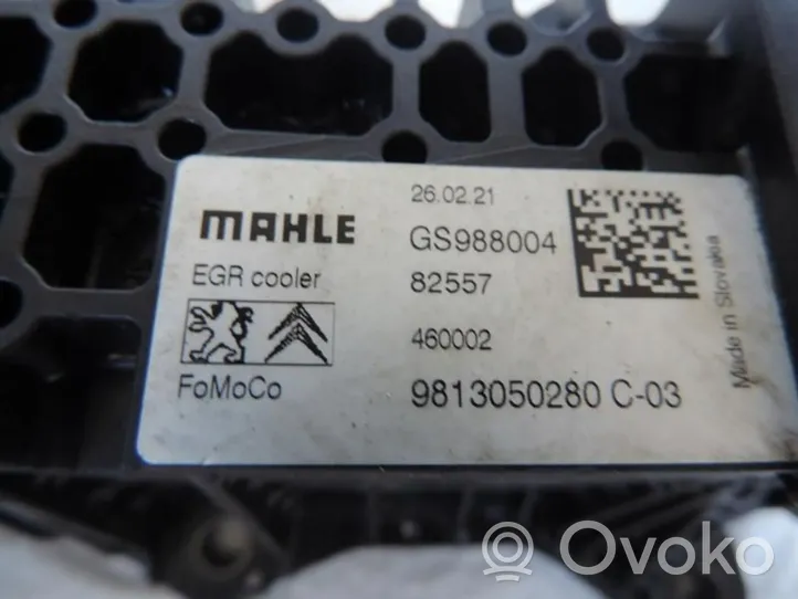 Opel Grandland X EGR valve cooler 9813050280