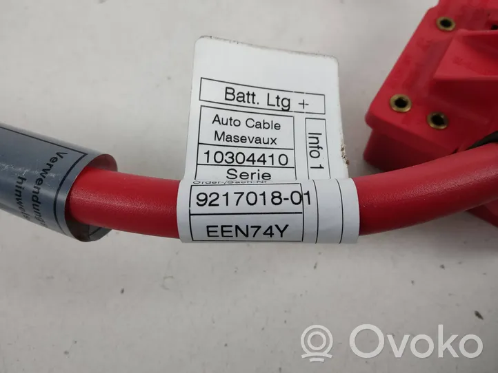 BMW X1 E84 Cavo positivo (batteria) 9217018