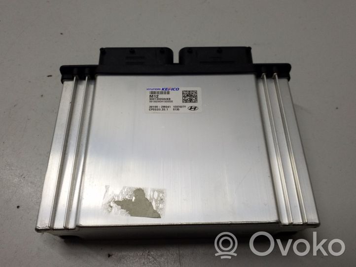 Hyundai Tucson IV NX4 Sterownik / Moduł ECU 391992M041