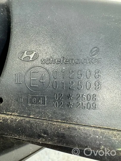 Hyundai Santa Fe Rétroviseur électrique de porte avant 012509