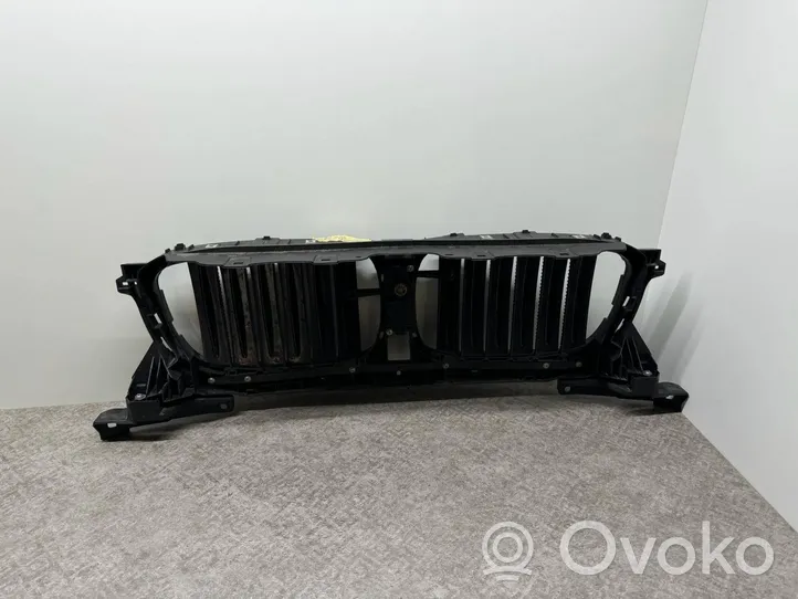 BMW X3 G01 Front bumper upper radiator grill 7497227