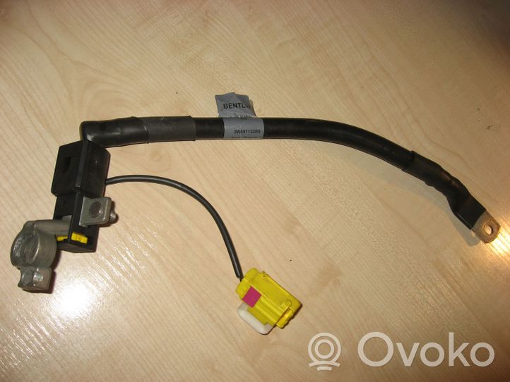 Bentley Flying Spur Positive cable (battery) 3W5971228G