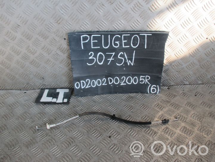 Peugeot 307 Câble de porte arrière 