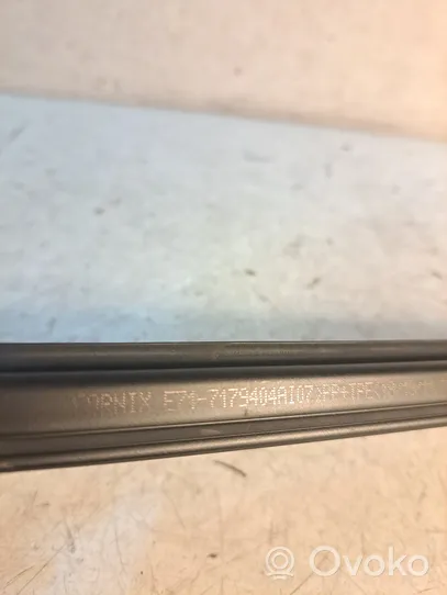 BMW X6 M Rear door glass trim molding 7179404