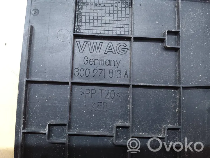 Volkswagen PASSAT B6 Other interior part 3C0971813A