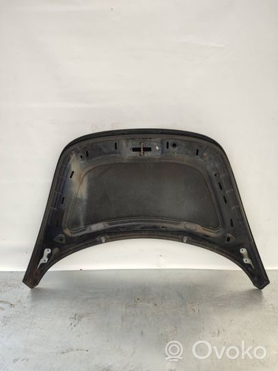 Volkswagen New Beetle Engine bonnet/hood 