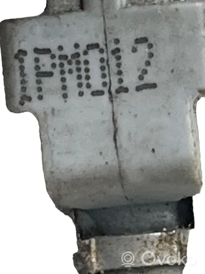 Citroen C4 I Fuel injector 