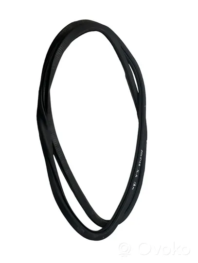 Chrysler Pacifica Front door rubber seal 