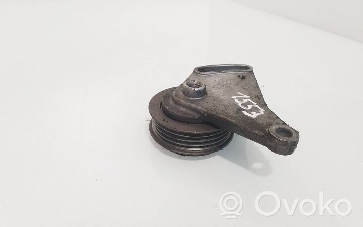 Volkswagen PASSAT B5 Napinacz paska alternatora F230875