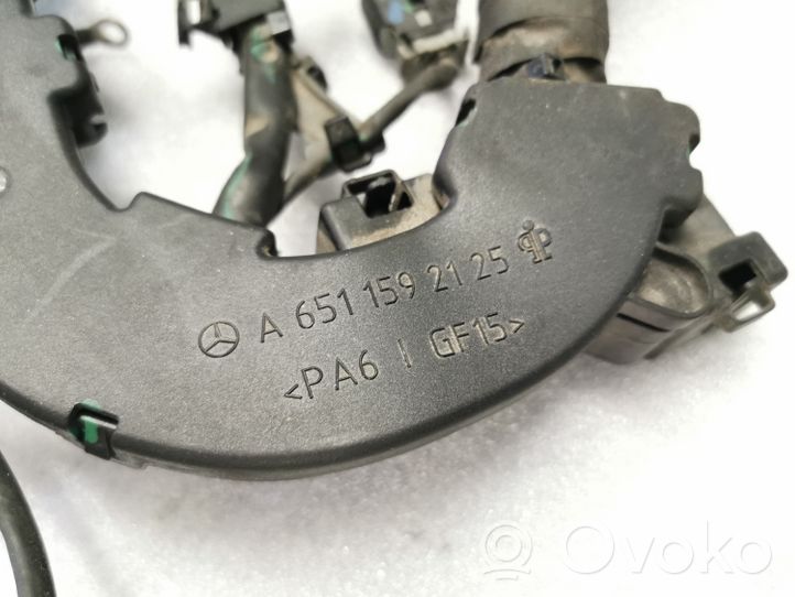 Mercedes-Benz A W176 Faisceau de câblage pour moteur A6510105718