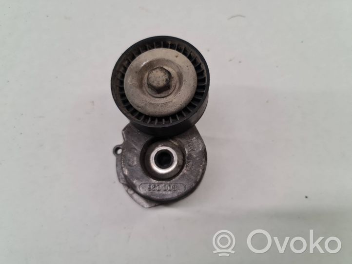 Fiat Grande Punto Generator/alternator belt tensioner 950008