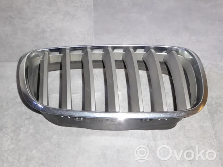 BMW X6 E71 Maskownica / Grill / Atrapa górna chłodnicy 51137185224