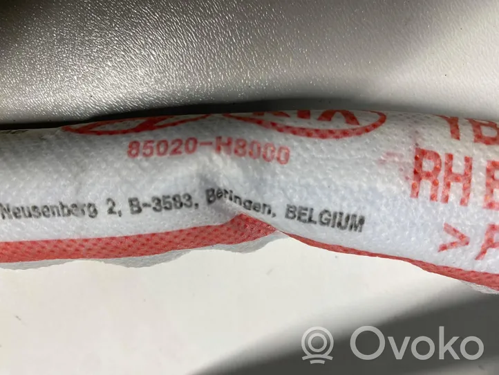 KIA Rio Stogo oro pagalvė (užuolaida) 85020-H8000