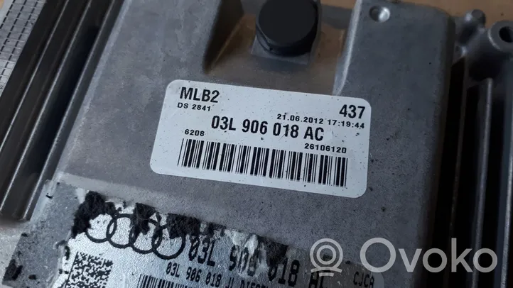 Audi A4 S4 B8 8K Calculateur moteur ECU 03L906018AC