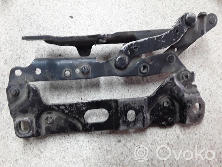 BMW 5 F10 F11 Cerniere del vano motore/cofano 7191327