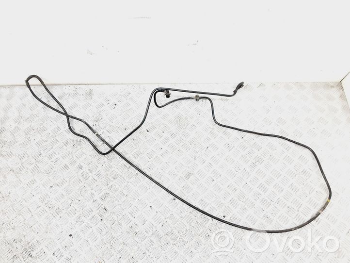 MG TF Przewód / Wąż podciśnienia 