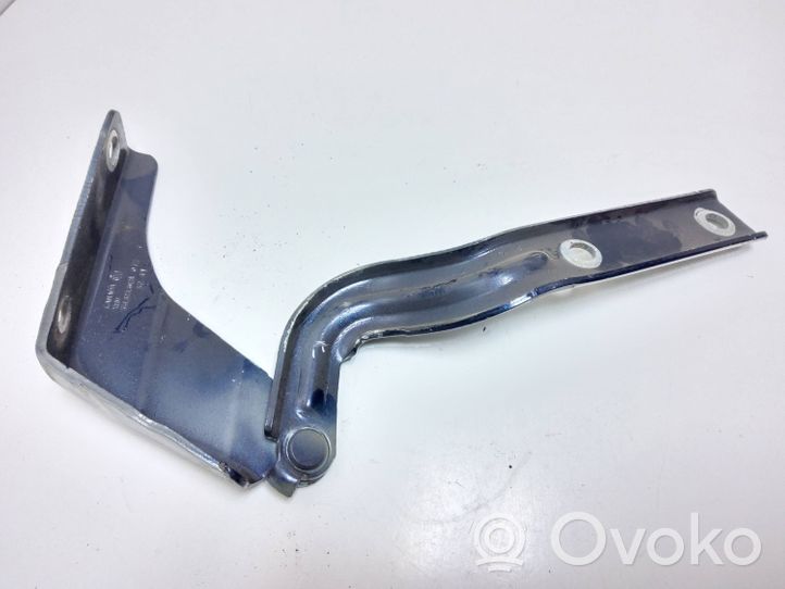 Volkswagen PASSAT B7 USA Engine bonnet/hood hinges 561823302A