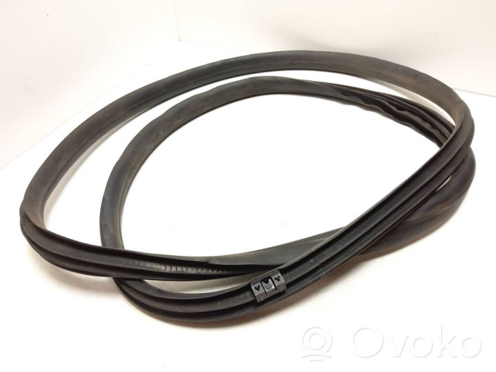 Volvo S60 Front door rubber seal 