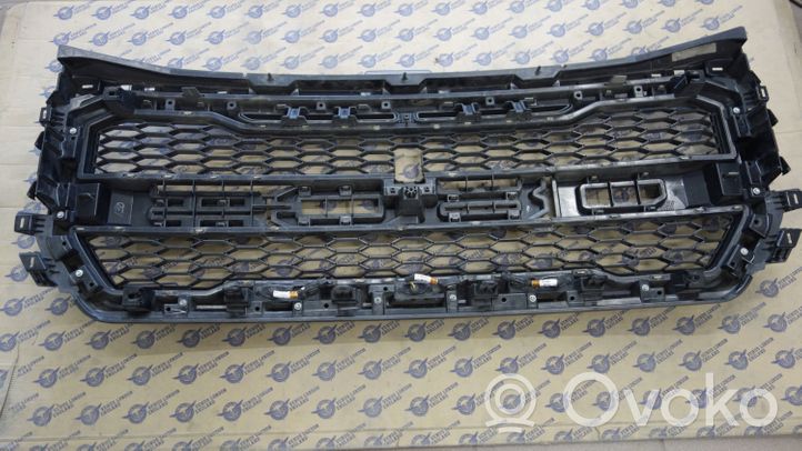 Ford F150 Griglia anteriore HL3V8200AGW