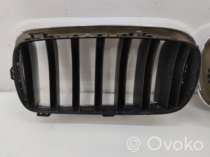 BMW X6 F16 Griglia superiore del radiatore paraurti anteriore 7316075