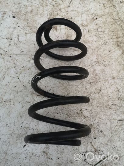 Opel Antara Rear coil spring 