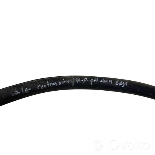 Ford Edge II Rear door rubber seal (on body) 