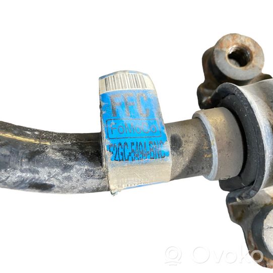 Ford Edge II Barra stabilizzatrice anteriore/barra antirollio F2GC5494BNC